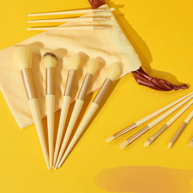 13-Piece Makeup Brush Set with Bag