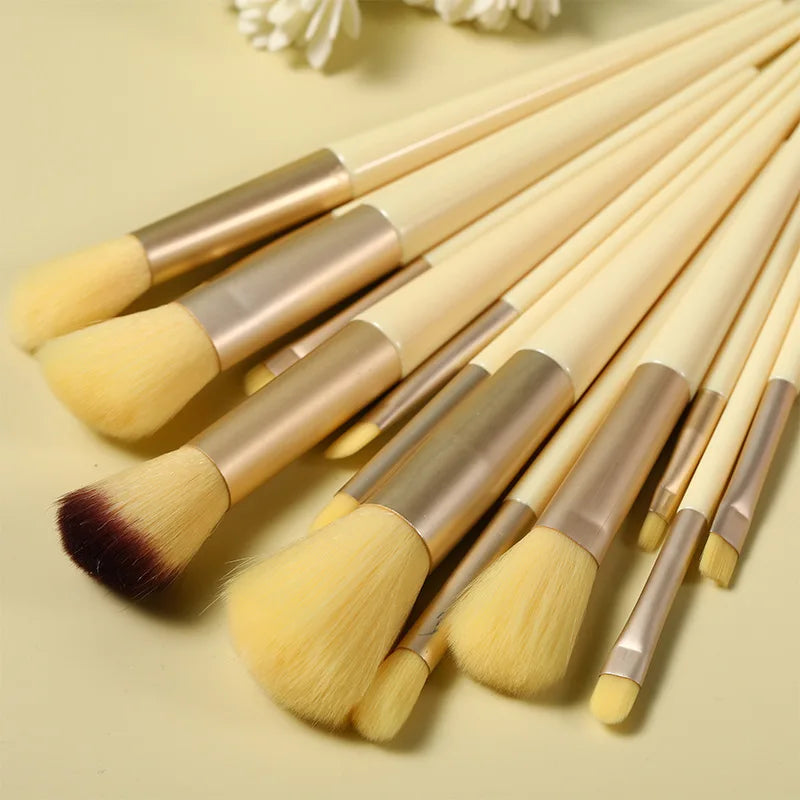 13-Piece Makeup Brush Set with Bag